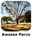 Awassa Parco